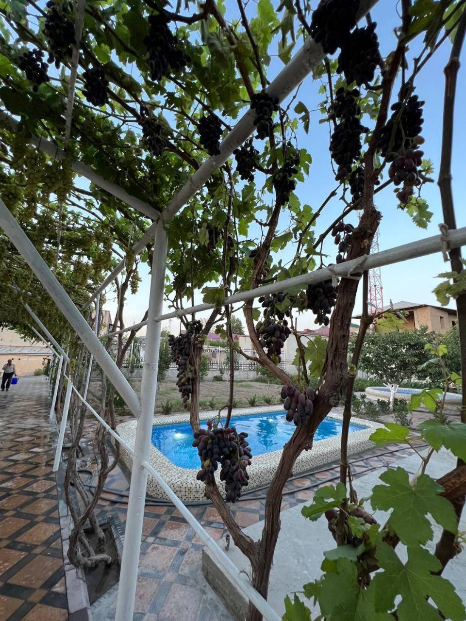 Samarabonu Hotel Самарканд Екстериор снимка